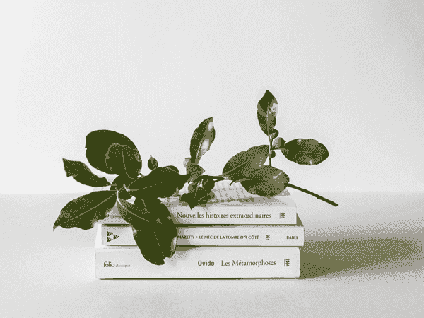 短信轰在线轰炸